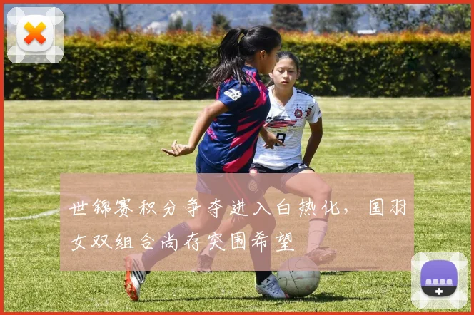 世锦赛积分争夺进入白热化，国羽女双组合尚存突围希望 - 天下足球网推荐