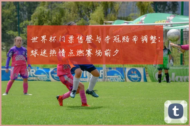 世界杯门票售罄与夺冠赔率调整:球迷热情点燃赛场前夕 - 天下足球网推荐
