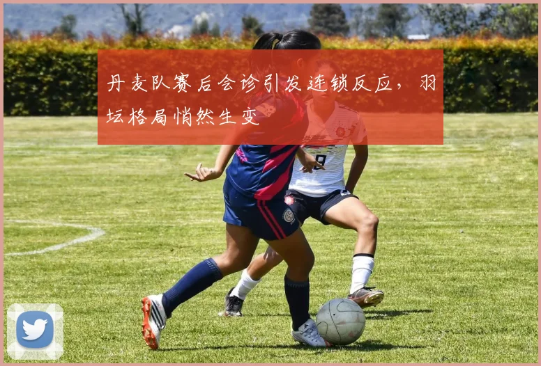 丹麦队赛后会诊引发连锁反应，羽坛格局悄然生变 - 天下足球网推荐