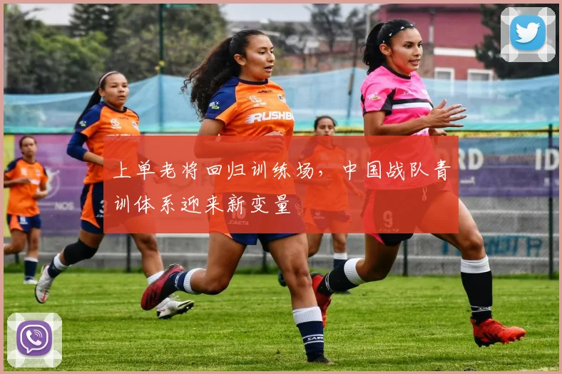 上单老将回归训练场，中国战队青训体系迎来新变量 - 天下足球网推荐