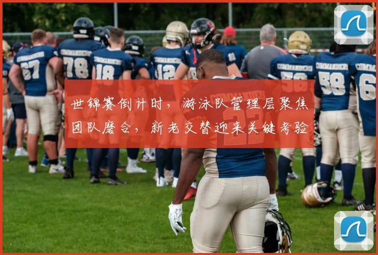 世锦赛倒计时，游泳队管理层聚焦团队磨合，新老交替迎来关键考验 - 天下足球网推荐
